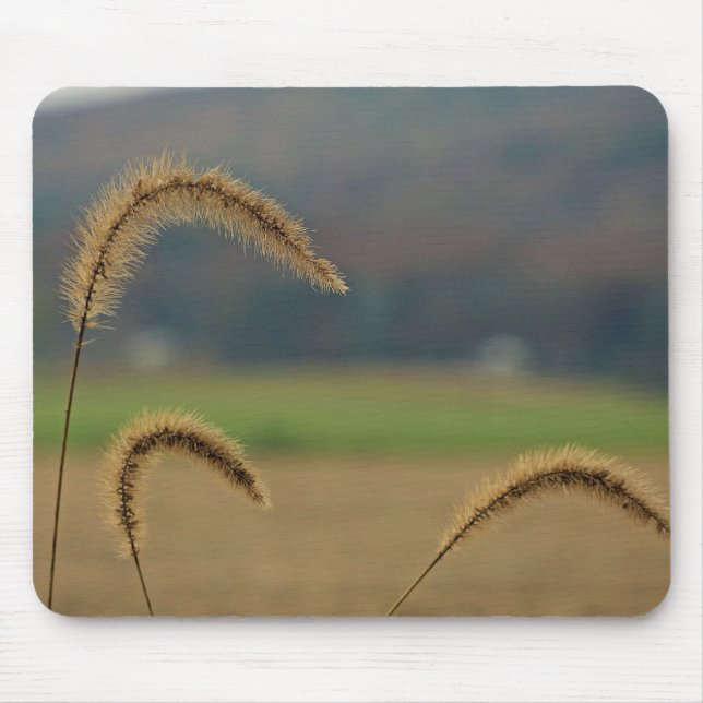 Grass Seed Stalks Mouse Pad (Front)