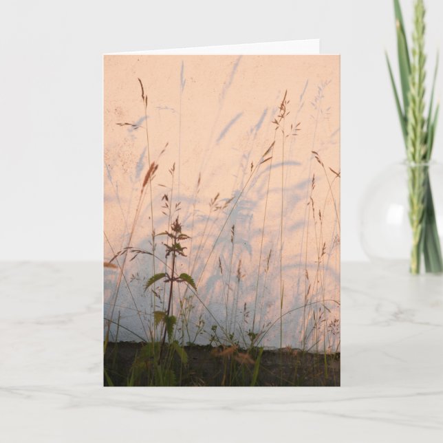 Grass Shadows Card (Front)