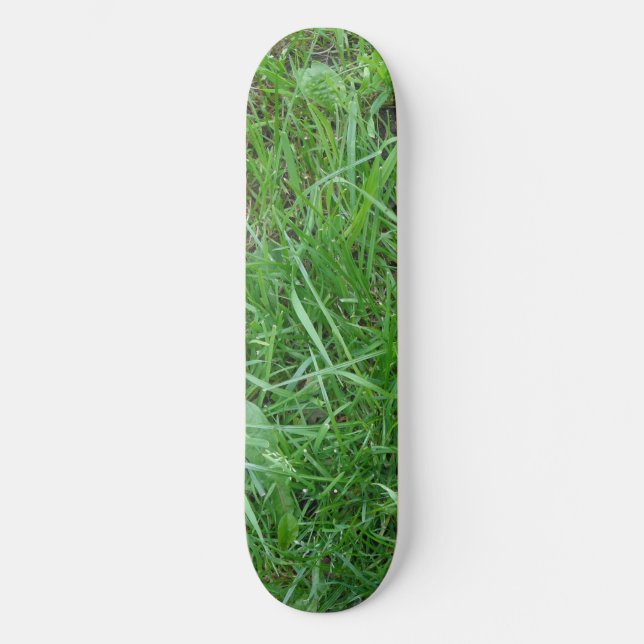 Grass Skateboard (Front)