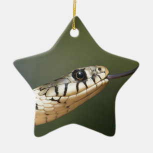 Grass Snake Ceramic Ornament