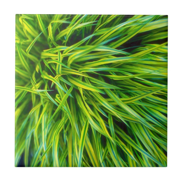 Grass Tile (Front)