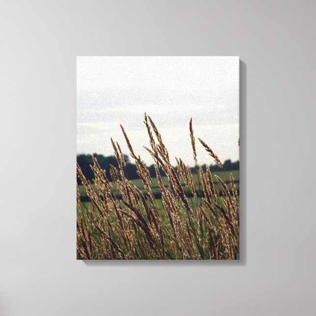 Grasses Blowing in the Wind Canvas Print (Front)