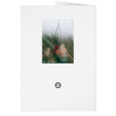 grasses cards (Back)