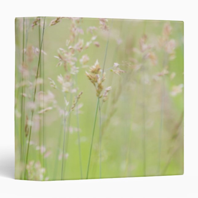 Grasses in motion binder (Front/Spine)