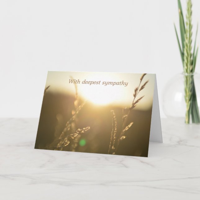 Grasses in sunlight  -  With deepest sympathy Card (Front)