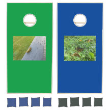 Grasshopper/A Monarch Butterfly