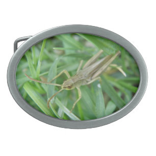 Grasshopper Belt Buckle