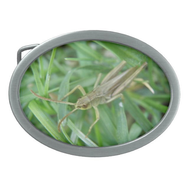 Grasshopper Belt Buckle (Front)