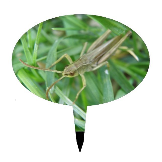 Grasshopper Cake Pick (Front)