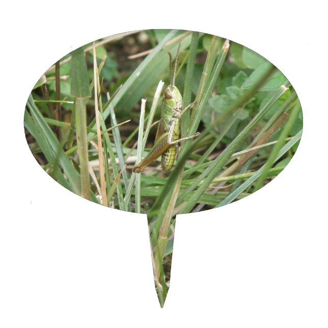 Grasshopper Camouflage Cake Pick (Front)