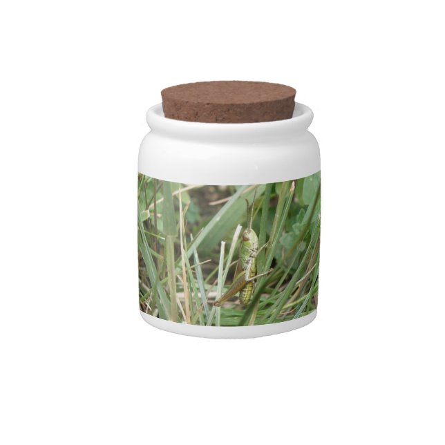 Grasshopper Camouflage Candy Jar (Front)