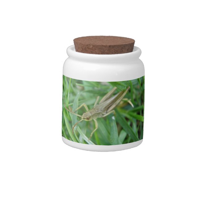 Grasshopper Candy Jar (Left)