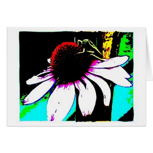 Grasshopper Cards (Front Horizontal)