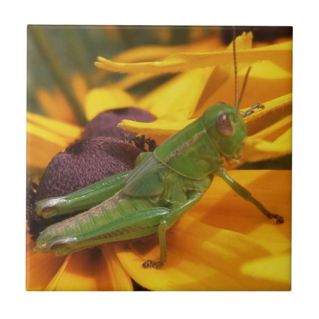 Grasshopper Ceramic Tile (Front)