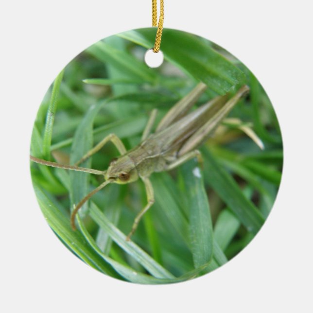 Grasshopper Custom Birthday Ceramic Ornament (Front)