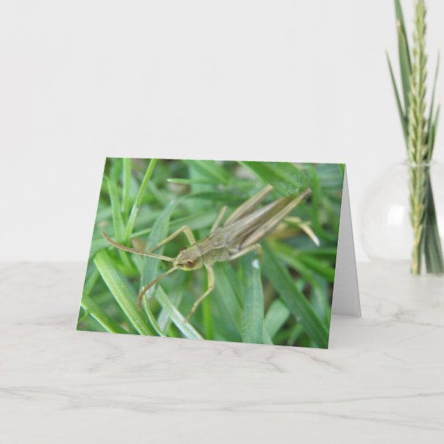 Grasshopper Customizable Greeting Card (Front)
