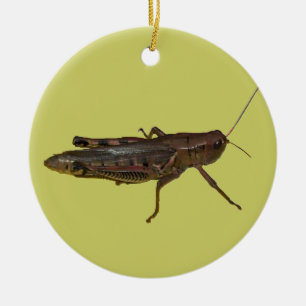 Grasshopper Design Ceramic Ornament