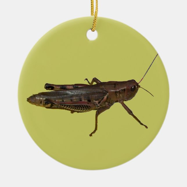 Grasshopper Design Ceramic Ornament (Front)