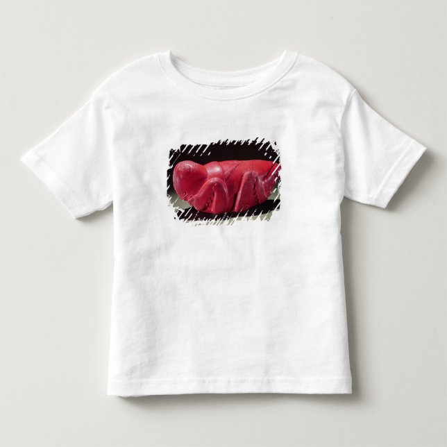 Grasshopper from Chapultepec, Mexico, c.1500 (carn Toddler T-shirt (Front)