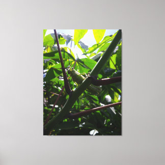 Grasshopper Hidden in Plain Sight Close-Up Canvas Print