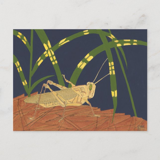 Grasshopper in Green Grass on Blue Background Postcard (Front)
