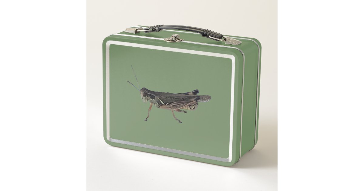 Insect Photo Lunch Boxes Zazzle