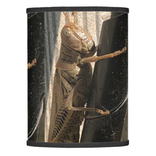 Grasshopper  lamp shade (Front)