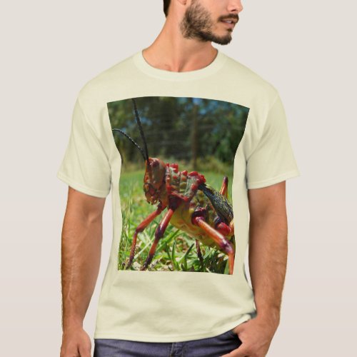 Grasshopper Lawn Grass T Shirt Summer Cool 