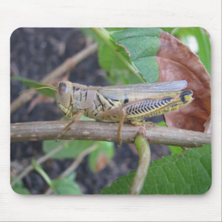 Grasshopper Mouse Pad