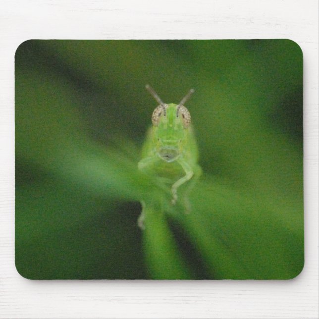 Grasshopper Mousepad (Front)