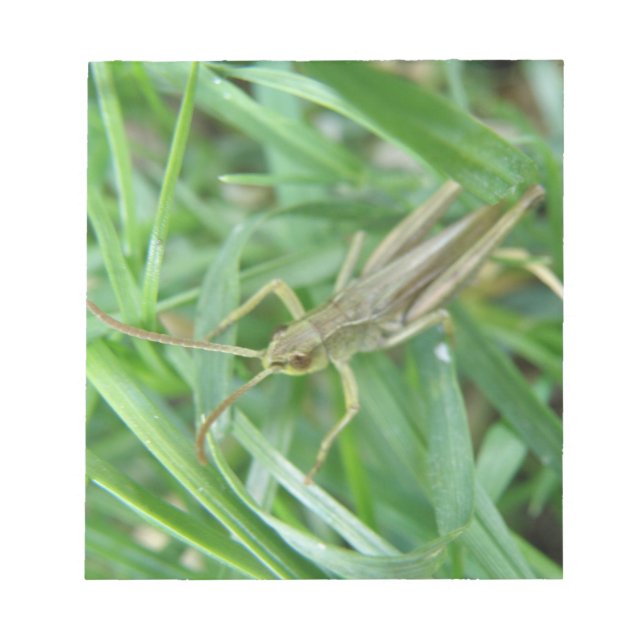 Grasshopper Notepad (Front)