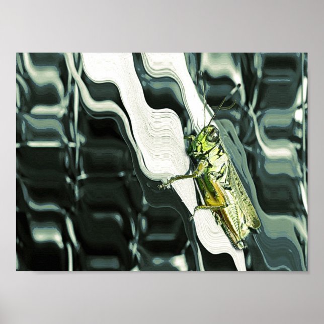 Grasshopper on Abstract Poster (Front)