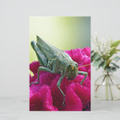Grasshopper on Cockscomb (Standing Front)