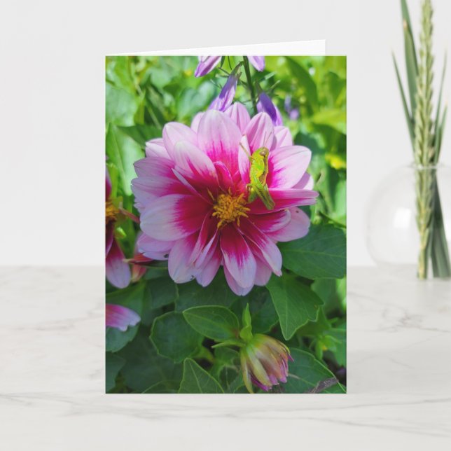Grasshopper on Dahlia Flower Card (Front)