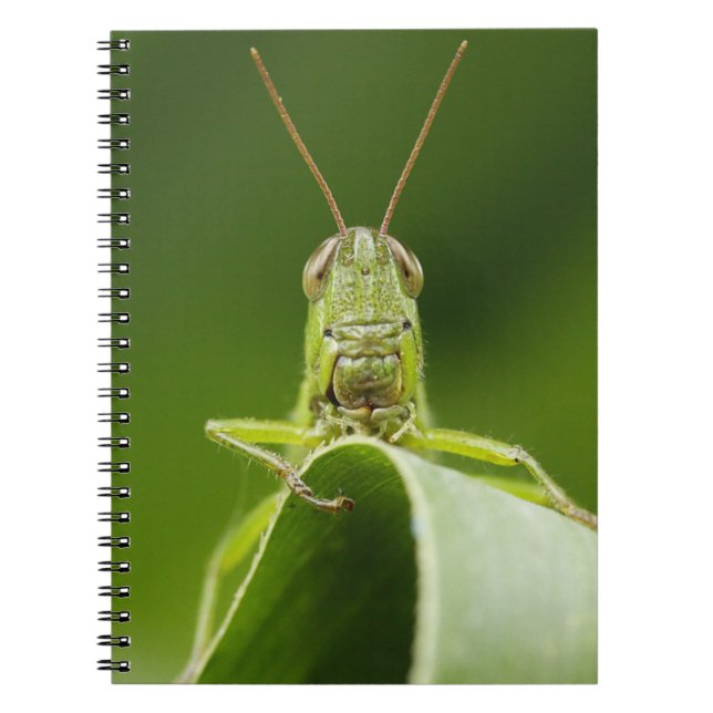 Grasshopper on Leaf, Grasshopper Face Close-up Notebook (Front)