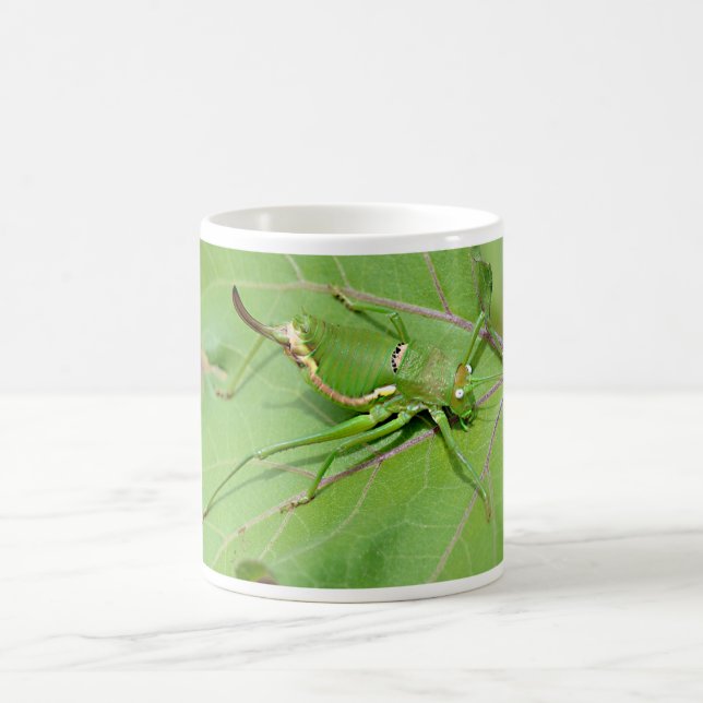 Grasshopper on leaf seen from above postcard T-Shi Coffee Mug (Center)