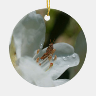Grasshopper On White Azalea Flower Ornament