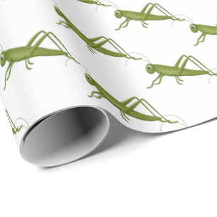 Grasshopper On White Wrapping Paper