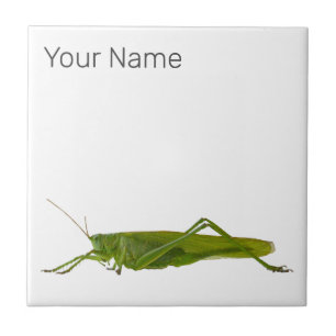 Grasshopper or Hayhorse Retro Insect Animal Gift Ceramic Tile