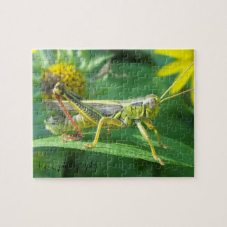 Grasshopper Photography Puzzle w/gift box