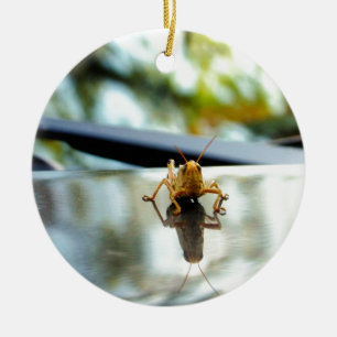 grasshopper stand off ceramic ornament
