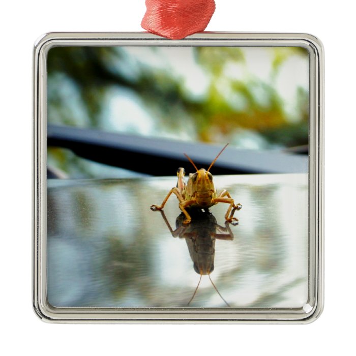 grasshopper stand off christmas tree ornament