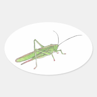 Grasshopper Sticker