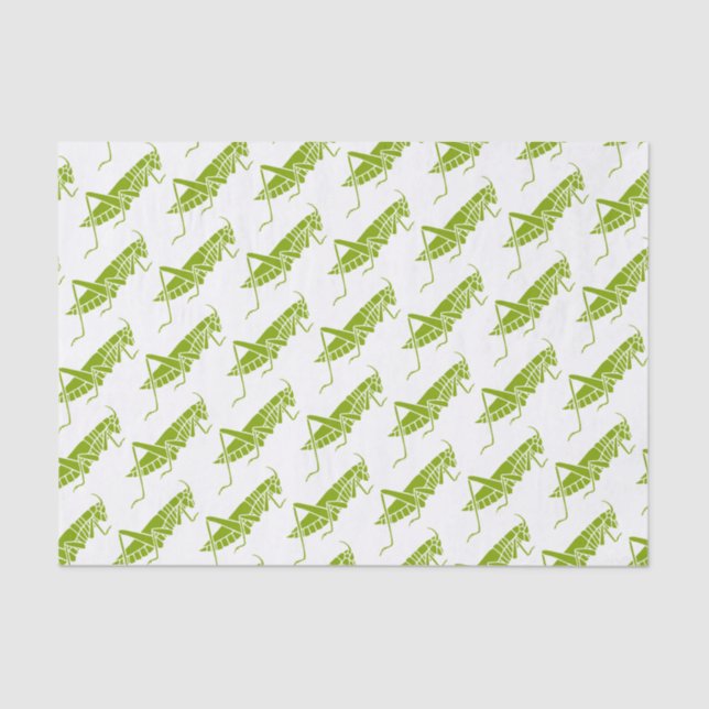 Grasshoppers Tissue Paper (Front)