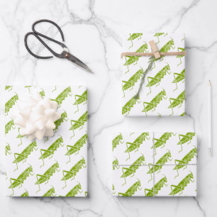 Grasshoppers Wrapping Paper Sheets