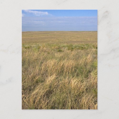 Grassland prairie east of Sidney Nebraska Postcard