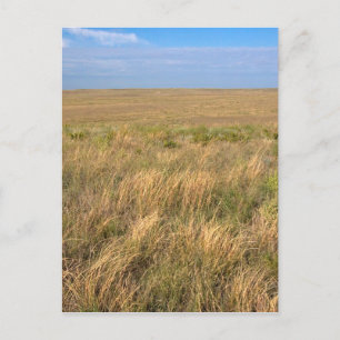 Grassland prairie east of Sidney, Nebraska. Postcard