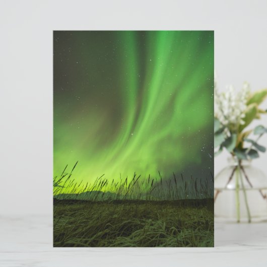 Grasslands Aurora (Standing Front)