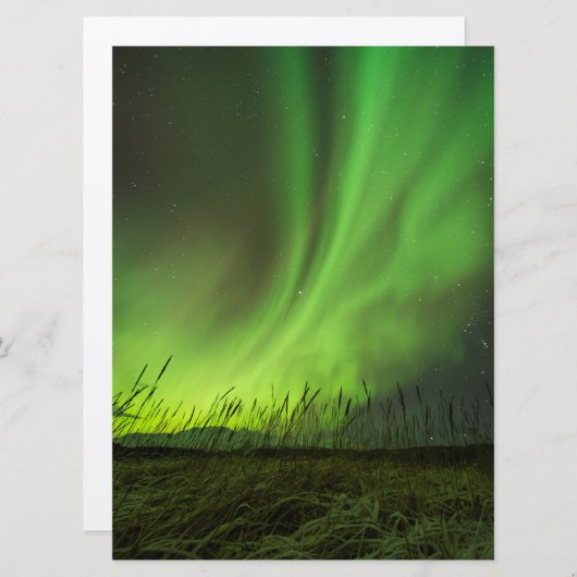 Grasslands Aurora (Front/Back)