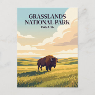 Grasslands National Park Canada Postcard
